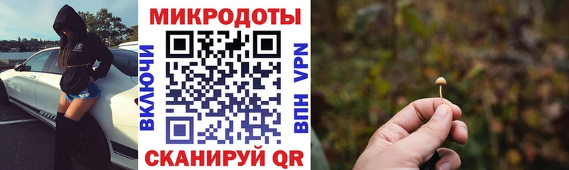 Галлюциногенные грибы прущие грибы  сколько стоит  Полярные Зори 